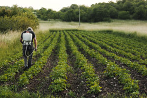 agriculture